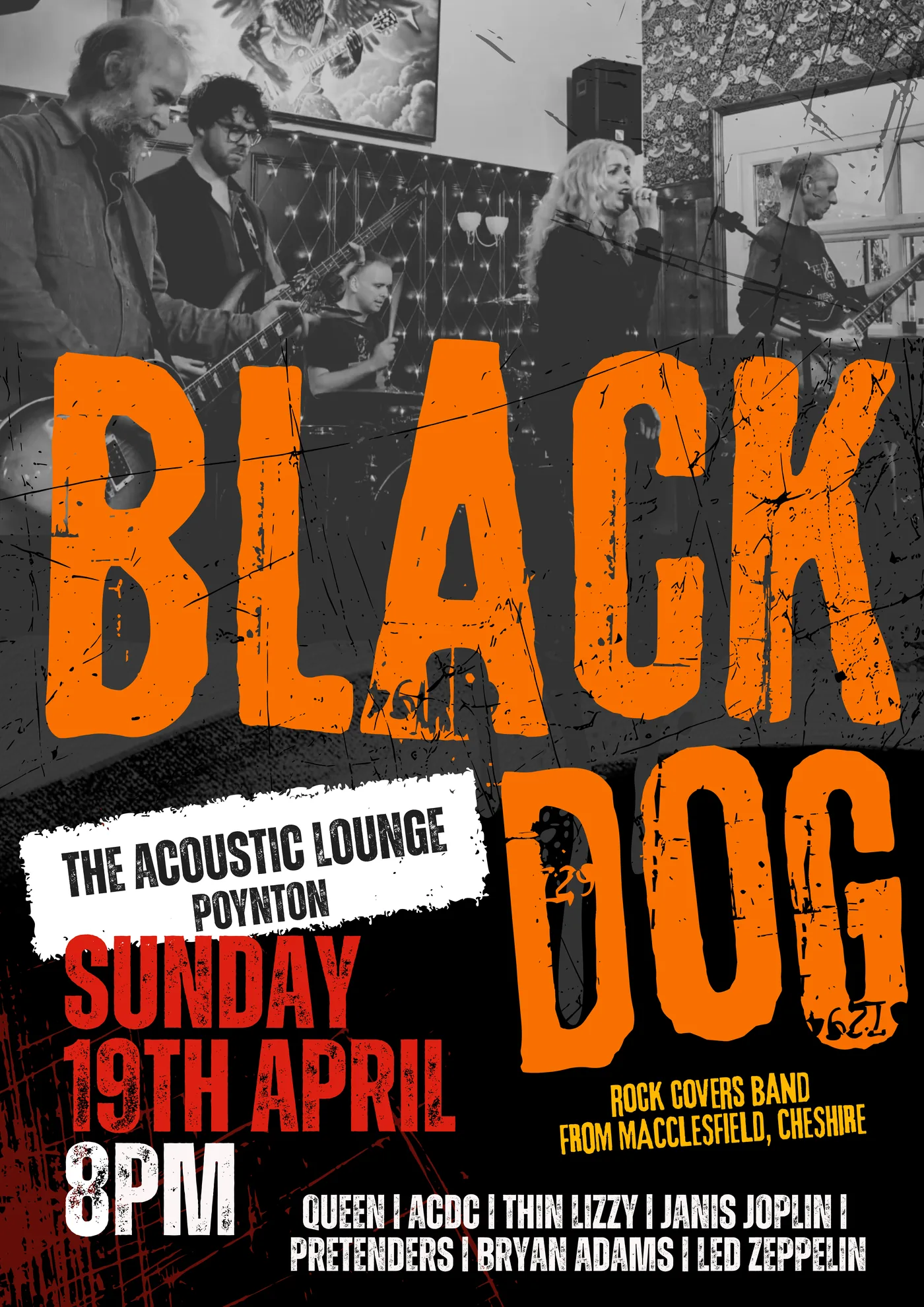 BlackDog gig poster